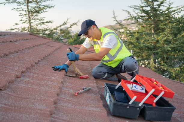 Best Roof Replacement Cost  in Trenton, IL