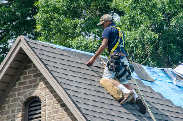 Tile Roofing Contractor in Trenton, IL